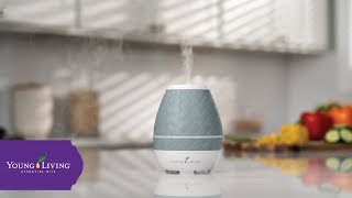 Sweet Aroma™ Ultrasonic Diffuser  Young Living Essential Oils [upl. by Grover347]