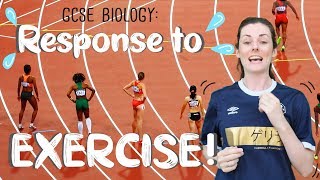 Response to Exercise  GCSE Biology [upl. by Nyliram]