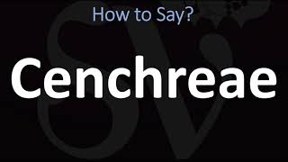 How to Pronounce Cenchreae CORRECTLY [upl. by Aerised938]