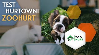 Dropshipping Testy hurtowni  ZOOHURT [upl. by Anaytat]