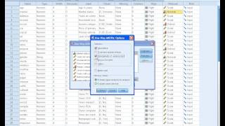 SPSS Tutorials Anova Test [upl. by Natsuj]