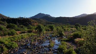 Saguaro [upl. by Ahsatak214]