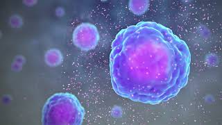 Types of Immune Cells Part 1 Immune Cell Function [upl. by Veda]