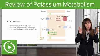 Atropine Mechanism and Side Effects [upl. by Eelyac]