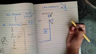 Anti Arrhythmics Drugs part 1 Anti Arrhythmia s cvspharma [upl. by Hterag]