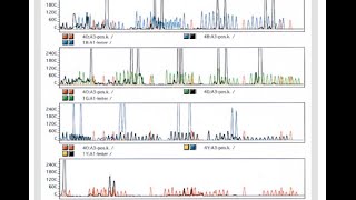 Short Tandem Repeats STR amp DNA profiling [upl. by Suhcnip283]