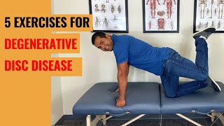 Top 5 Lower Back Degenerative Disc Disease Exercises [upl. by Hicks211]