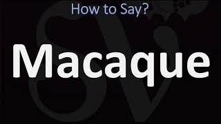 How to Pronounce Macaque CORRECTLY [upl. by Morven]