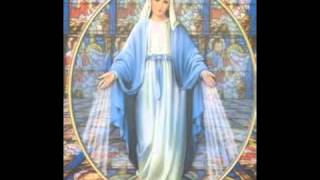 The Healing with Mother Mary Meditation  Sarah Hall [upl. by Bowen623]