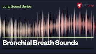 Bronchial Breath Sounds  EMTprepcom [upl. by Roland]