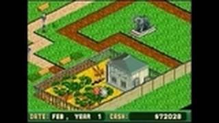 Zoo Tycoon Nintendo DS Gameplay [upl. by Petrick795]