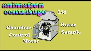 how to works centrifuge basic principle  centrifuge animation [upl. by Natale71]