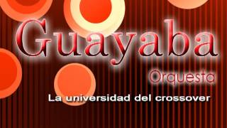 Guayaba Orquesta  San Juanero Audio Oficial [upl. by Wamsley]