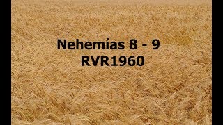 La Biblia hablada Nehemias 8  9 [upl. by Eessac]