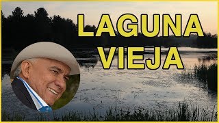 Laguna Vieja  Reynaldo Armas letra HD [upl. by Cornie810]