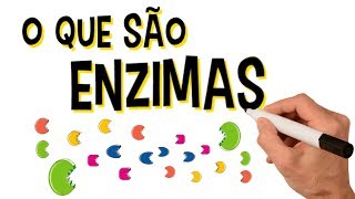 ✅ O QUE SÃO ENZIMAS [upl. by Manvell]