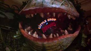 Little Shop of Horrors 1986 Teaser Trailer HQ [upl. by Pallua]