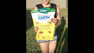 Diatomaceous Earth does it really work [upl. by Dawn]