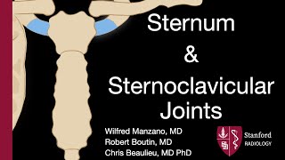 SKELETAL SYSTEM ANATOMY Bones of the thoracic cage Sternum [upl. by Intruok]