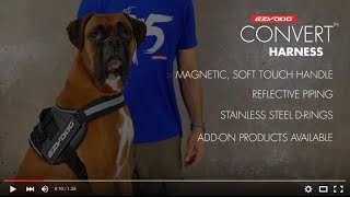 How to Fit a Dog Harness  EzyDog Convert Dog Harness [upl. by Essy]