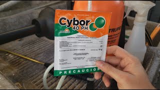 COMO FUMIGAR TU CASA EN 5 MINUTOS CONTRA CUCARACHAS  RESULTADOS [upl. by Rutan]