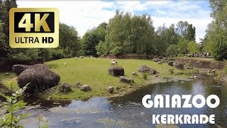 GaiaZOO Kerkrade  Lente 2022  4K [upl. by Nelsen]