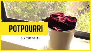 How to Make Potpourri Easy DIY Home Decor Air Freshener [upl. by Nnalatsyrc614]