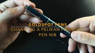 How to Safely Remove and Change a Pelikan Nib [upl. by Nylidam489]