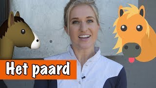 Alles over paarden  DierenpraatTV [upl. by Clarette]