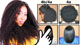 Natural Hair Types EXPLAINED In Detail w PICTURES 4C 4B amp 4A HAIR CHART [upl. by Mishaan]