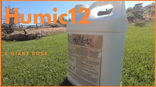 Humic 12 Humic Acid For Lawns Application Extremely High Rate [upl. by Jodi452]