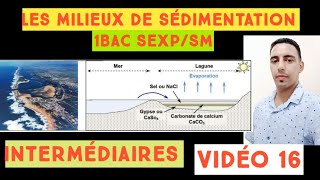 les milieux de sédimentation intermédiaires géologie externes 1BAC vidéo 16 [upl. by Marquet]