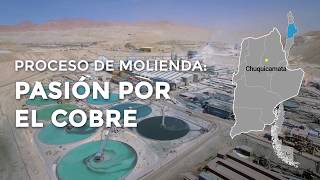 Proceso de Molienda Pasión por el cobre MineriaViva [upl. by Sig]