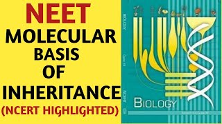 Molecular Basis of InheritanceClass 12NCERTChapter 06GeneticsQuick Revision SeriesAIIMS NEET [upl. by Anicnarf]