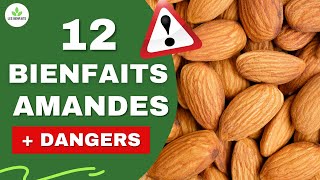 AMANDES LES BIENFAITS ET DANGERS CACHÉS POUR LA SANTÉ [upl. by Treblihp]