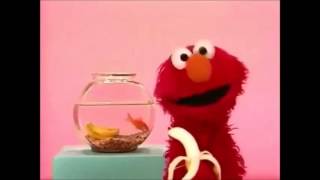 Elmo Kissing Babies Compilation [upl. by Otanod]