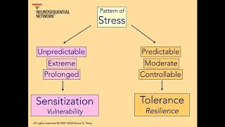 1 Patterns of Stress amp Resilience Neurosequential Network Stress amp Trauma Series [upl. by Ainivad]