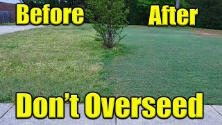 Overseeding Bermuda Lawn [upl. by Kienan]