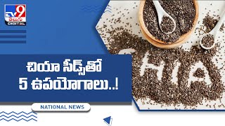 5 Health Benefits Of Chia Seeds  TV9 [upl. by Barbette]