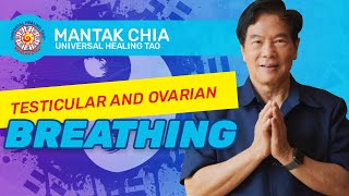 Testicular and Ovarian Breathing by Mantak Chia [upl. by Desmund]