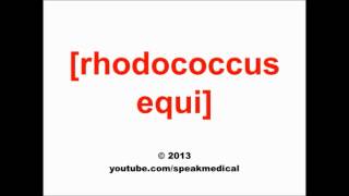 Pronounce Rhodococcus equi  SpeakMedical [upl. by Dirgni]