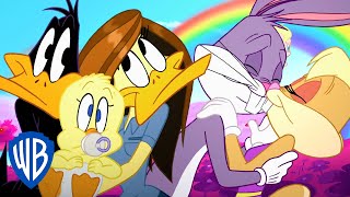 Looney Tunes  Couples Goals  WB Kids [upl. by Malley]