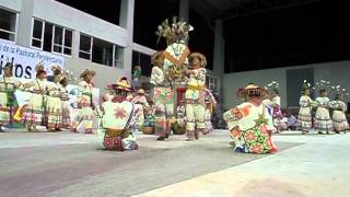 Danza huichol Tepic Nayarit Mexico 2012 Dance [upl. by Hayidah]