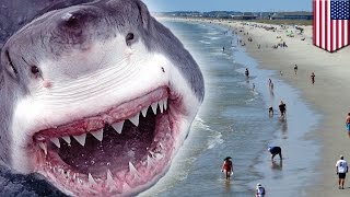 Shark attacks two teens eats their arms at beach in Oak Island North Carolina  TomoNews [upl. by Caiaphas806]