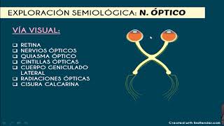 Exploración semiológica del II Nervio Craneal Óptico [upl. by Eirahs]