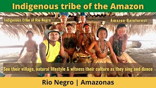 Brazil Travel  Indigenous tribe of the Amazon [upl. by Anabelle]