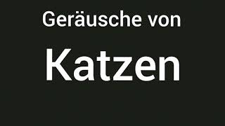 Geräusche von Katzen 🔊 [upl. by Hulen]