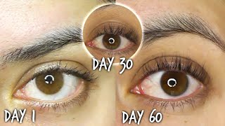 60 Days Using Castor Oil For Eyelash Growth Results WITH ROSEMARY [upl. by Ettelegna]