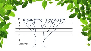 How to draw a tree using the Fibonacci Sequence Natures Numbers [upl. by Enoch]