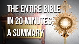 Learn The Bible In 20 Minutes From Genesis To Revelations [upl. by Nylissej]